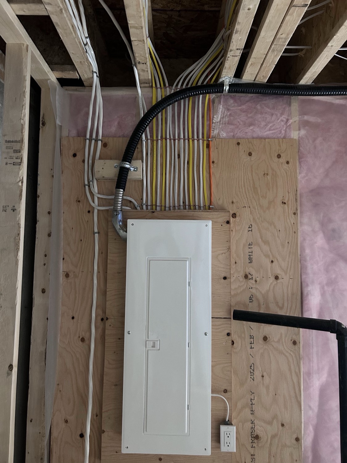 Clean electrical rough-in with organized wiring runs into a new panel